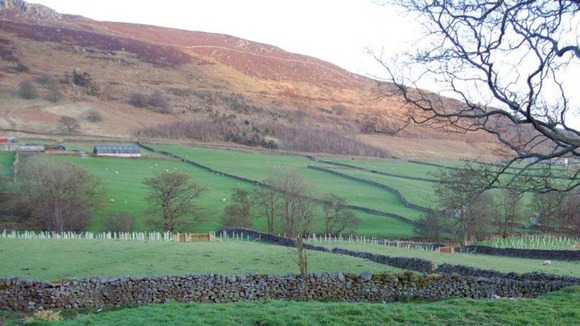 Roskell Wood
