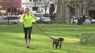 Nucy Naylor training in a London park with her dog.