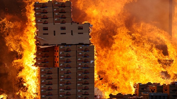 Crates of pesticides and fertilizer at a strawberry farm are destroyed.
