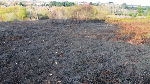 Heath fire aftermath