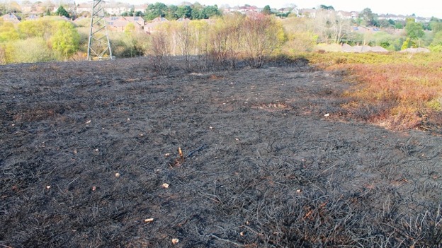 Heath fire aftermath