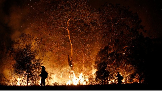 Firefighters work the ignition line of a backfire started into the Santa Monica Mountains.