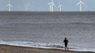 East Anglian coastline and biodiversity under threat from climate change