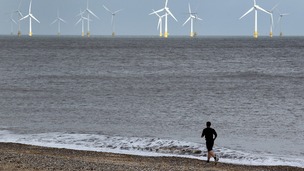 East Anglian coastline and biodiversity under threat from climate change