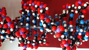 Helix