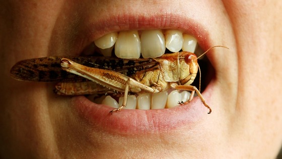 A woman poses with a locust between her teeth.