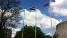 Council marks day against discrimination