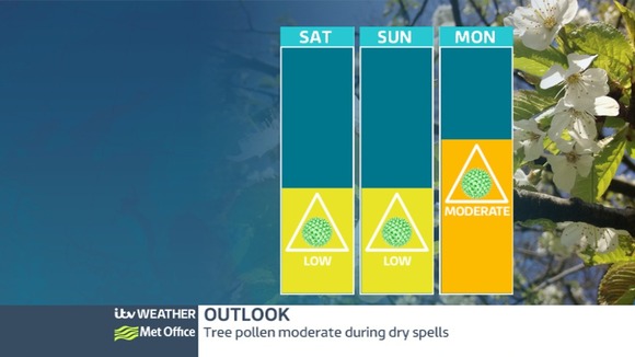 Tree pollen levels will range from Low to Moderate in the East Midlands