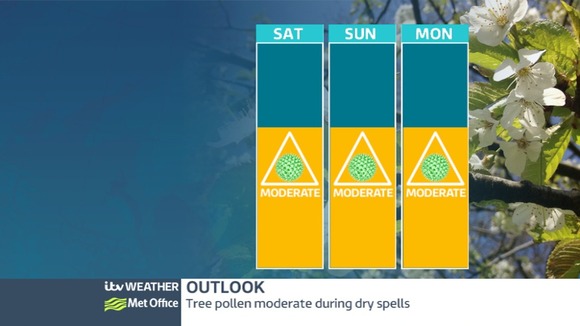 Tree pollen levels are Moderate in the West Midlands