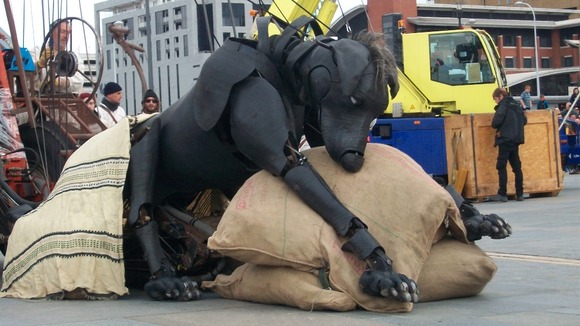 Xolo nap