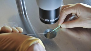 The new technique involves keeping embroyos in a super incubator for five days after they have been created
