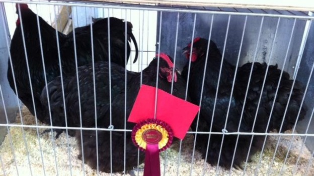 Winners