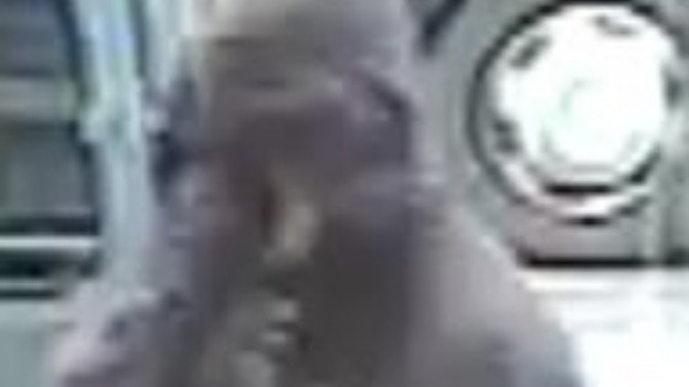 Suspect 3