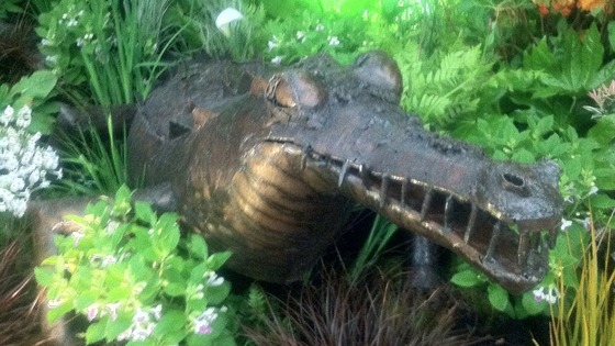 This crocodile hides in foliage in the Hillier's exhibit