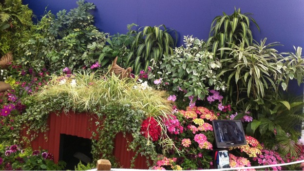 A Birmingham entry at The Chelsea Flower Show