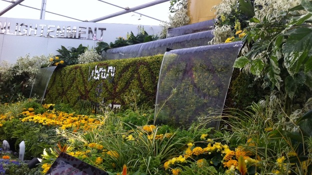The Chelsea Flower Show has been held in the grounds of the Chelsea Hospital every year since 1913