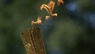 What your council spent on the Olympic Torch relay
