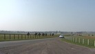More Newmarket horses tested positive for doping