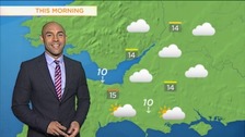 Tuesday's forecast: Mild and mostly overcast