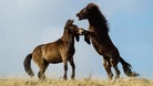Send us your pictures: westcountry@itv.com
