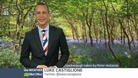 Good weather for bluebells?