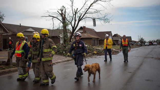 Rescue workers use a search dog while searching house-to-house for survivors.