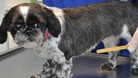 Lady looks at the stick after it was pulled from her stomach