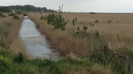Cley Marshes