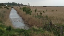 Cley Marshes