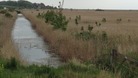 Study prompts fears for the region's wildlife