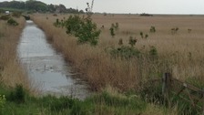Study prompts fears for the region's wildlife