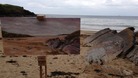 The South West Coast caught on canvas 365 times