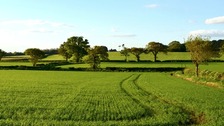 Bank Holiday weekend: dry and sunny!
