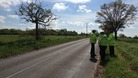 Police investigate fatal crash
