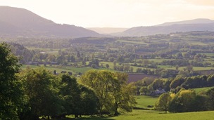 How green is your valley?