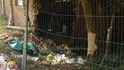 Teenage crash victim named
