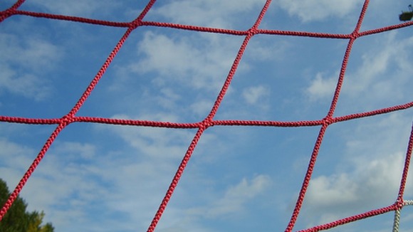Goal net
