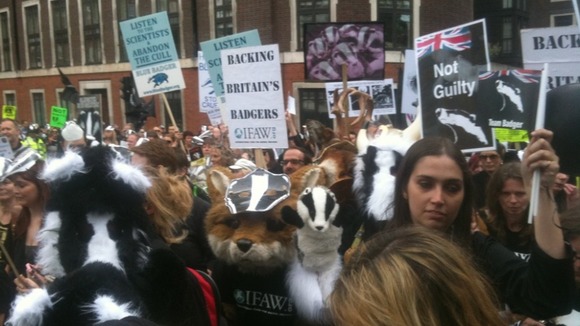 Animal welfare supporters