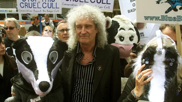 Brian May joins protesters dressed as badgers as they march through central London.