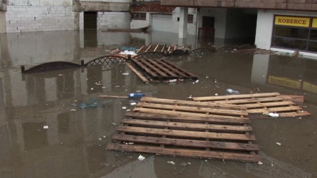The River Vltava has carried tree branches and other debris into the city centre