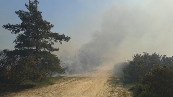 Ashdown Forest fire