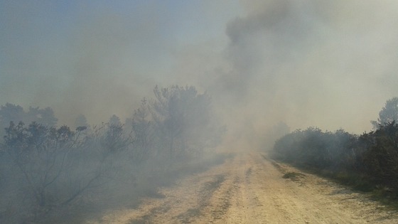 Ashdown Forest fire