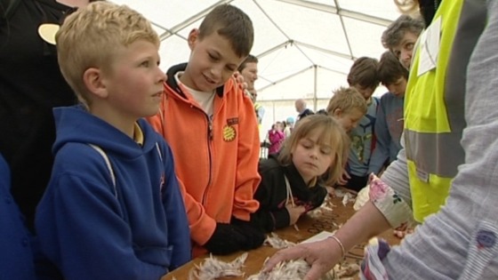 Wooler Countryside Day