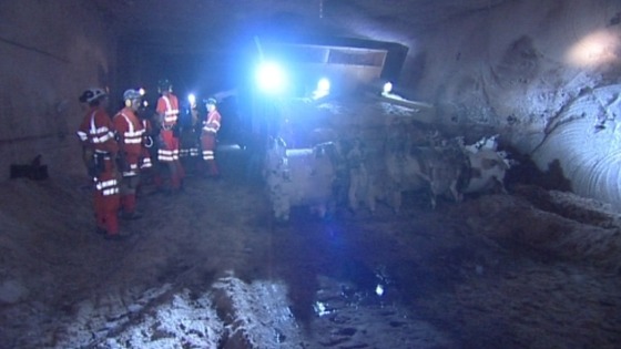 Boulby potash