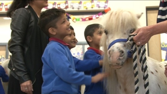 Children welcome ponies