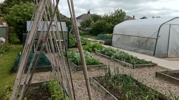 Gardening project.