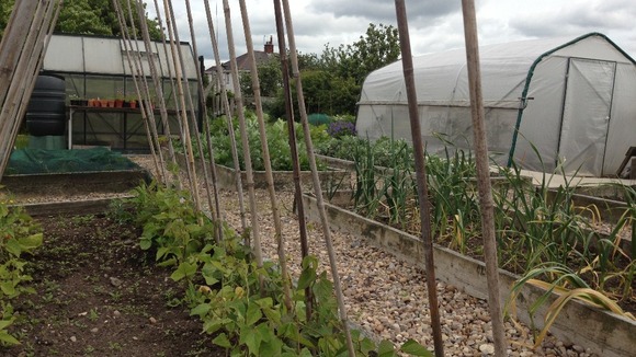 Gardening project.