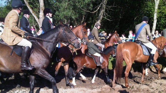 Selkirk Common Riding 