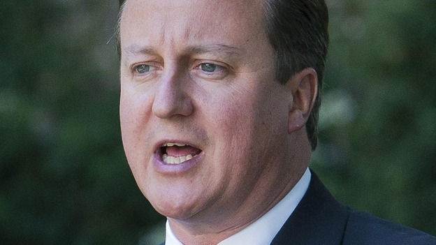 Prime Minister David Cameron.