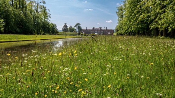 Meadow at Erddig Hall
